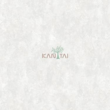 Imagem de Papel de Parede Adi Tare 2 Textura Cinza AD200202R