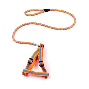 Imagem de Coleira para cães de estimação corda redonda refletora correia para cães com peitoral corrente para filhotes conjunto de coleira para cães pequenos cães