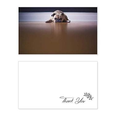 Imagem de Imagem do piso do quarto de animal para cães, cartão de agradecimento, aniversário, agradecimento de casamento