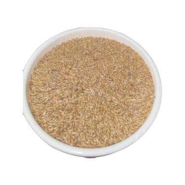 Imagem de Alpiste Canadense Premium 5Kg - Mr Sementes