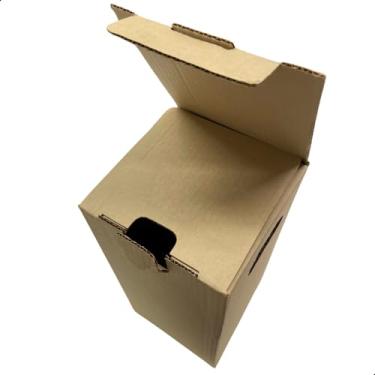 Imagem de Caixa de Papelão Pardo para Transporte e Envios de Garrafas 16x16x32 Resistente (200)