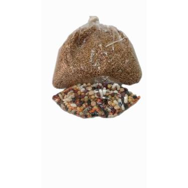 Imagem de Trigo em Grãos 1kg para plantar ou consumir + 10 outros tipos de semen