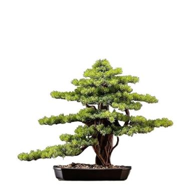 Imagem de Enfeite artificial simulado de pinheiro acolhedor estilo chinês bonsai sala de estar árvore falsa interior planta verde decoração mesa de entrada paisagismo árvore falsa (D)