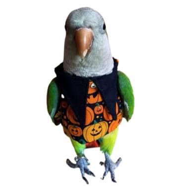 Imagem de Pano de pássaro para festa de feriado, fantasia de pássaro de Natal de Halloween, casaco de papagaio engraçado para periquitos, calopsita (caique, sem fraldas)