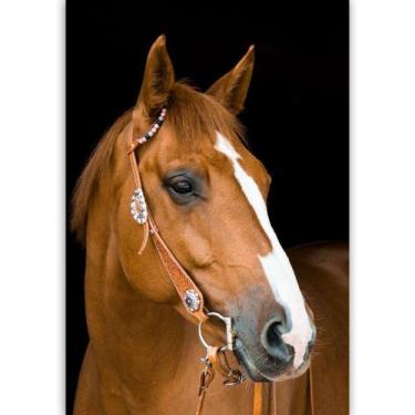Imagem de Quadro Cavalo Marrom Claro - MeMoldura, Chassi Borda Infinita, 80x120c