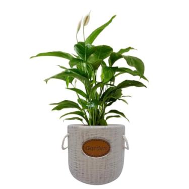 Imagem de Cachepot Decorativo Garden em Cerâmica para Vasos de Plantas (01 Ninho)