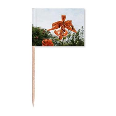 Imagem de Orange River Lily Art Deco Presente Fashion Palito de Dentes Marcadores Decoração de Festa