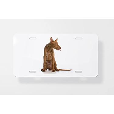 Imagem de Capa para placa de carro para cachorro com atitude – Capa para placa de carro – Capa para placa de carro 15 x 30 cm