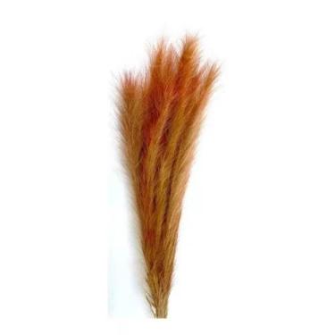 Imagem de Capim Seco Laranja Natural Rabo De Raposa Decoração Arranjo - FLORA FU