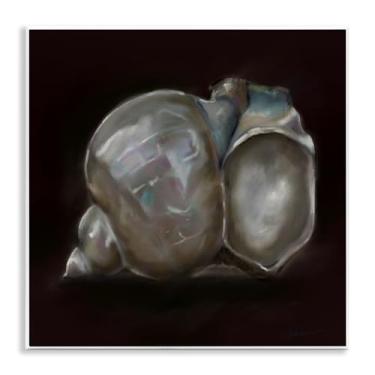 Imagem de Stupell Industries Treasure Of Sea Shell Wall Plaque Art, design por Mary Sparrow, 12 x 12