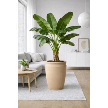 Imagem de Vaso para Plantas Resistente e Moderno com Prato Coletor de Água Incluso (BEGE)