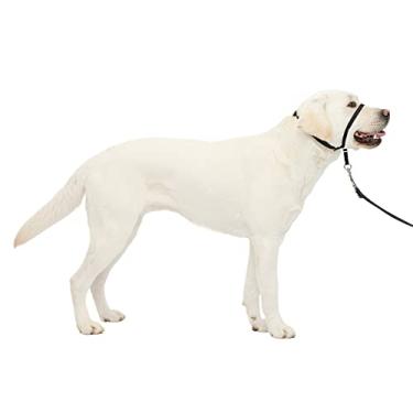 Imagem de PetSafe Coleira de cabeça delicada para cães, impede que os animais de estimação puxem e asfixiem passeios, grande 27-59 kg, preta