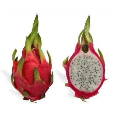 Imagem de 10 Sementes de Pitaia - Pitaya - Fruta Dragão - Jardinar