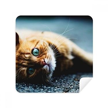 Imagem de Animal Puro Olho Azul Gato Fotografia Óculos Pano Limpador de Tela Tecido Camurça Pacote com 2