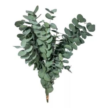 Imagem de Buquê De Eucalipto Desidratado Decoração Noiva 75cm Grande - FLORA FUL