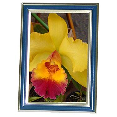 Imagem de Porta-Retrato 13x18 cm, LAVIE, Porta-Retratos Digitais