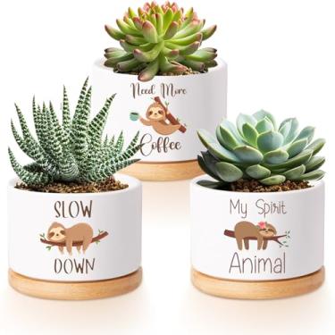 Imagem de Vesici 3 potes de suculenta preguiça com drenagem e bandeja de bambu, pequenos vasos de suculentas de cerâmica para mini plantas, cacto, animal, planta, vaso para escritório, decoração de casa