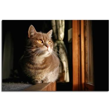 Imagem de Pôster felino gato impressões em tela animal arte de parede para casa 1 painéis decorações não ramed 30,5 x 20,3 cm