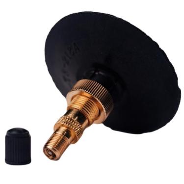 Imagem de Válvula Para Pneu Com Câmara Tr-218A Fiontar