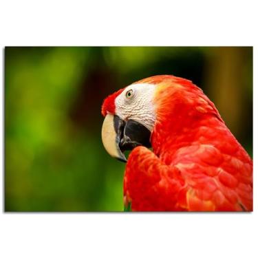 Imagem de Papagaio impressão em tela pássaros araras pôster arte de parede para casa 1 peça decorações não ramed 91,4 cm x 61 cm