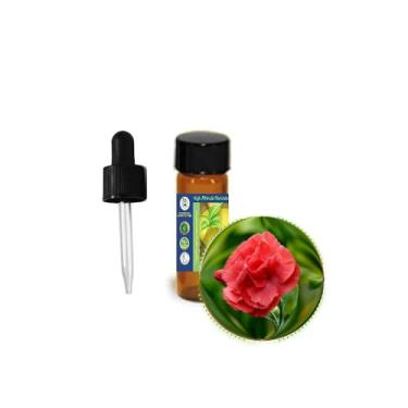 Imagem de Óleo essencial carnation Absolute (Dianthus Caryophyllus) – Aroma verde fresco, para aromaterapia, perfume, incenso, meditação espiritual, cosméticos – puro, natural, não diluído, sem cortes – 3,7 ml