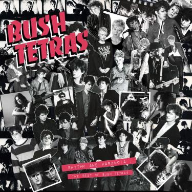 Imagem de Rhythm & Paranoia: The Best of Bush Tetras [Disco de Vinil]