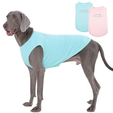 Imagem de Kuoser Pacote com 2 camisetas para cães FPS 50+ proteção solar UV, leves de secagem rápida para cães pequenos, médios e grandes, colete respirável para animais de estimação, roupas para ambientes