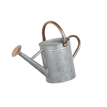 Imagem de Generic Regador de plantas com bico removível, cabo de aço inoxidável, construção robusta, pulverizador fino grande, grande abertura de enchimento, 4l