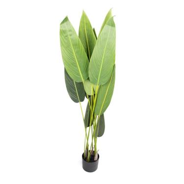 Imagem de Planta Artificial Estrelícia Folhas Com Pote X12 Verde 130 Cm F04 - D'rossii