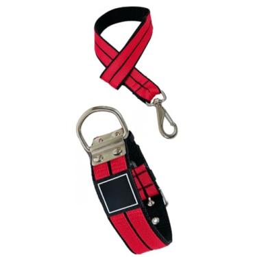 Imagem de Coleira + Guia Forte Luxo Para Cachorros Pitbull Pet Grande(Vermelho,P)