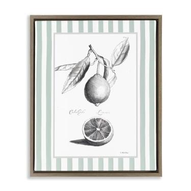 Imagem de Stupell Industries Vintage Citrus Listrado Borda Marrom Emoldurado Tela Flutuante Arte Design de Parede por Lettered and Fored, 78 x 63 cm