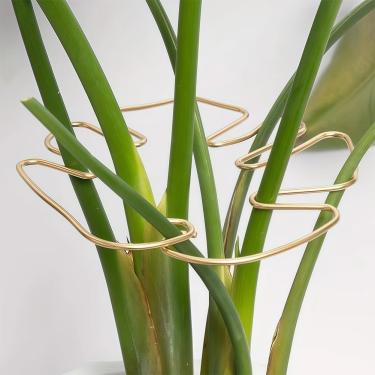 Imagem de Conjunto de suporte de caule de planta, suporte de planta de folha Monstera, suporte de caule de treliça de estacas de plantas - ouro