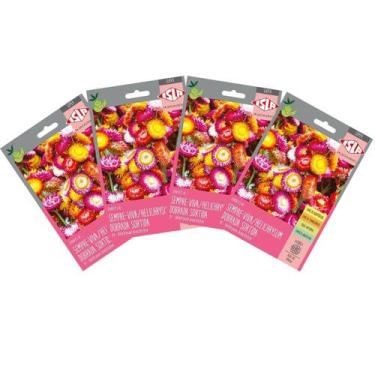 Imagem de 4X Sementes de Helichrysum Sempre-Viva (Sortida) Super ISLA