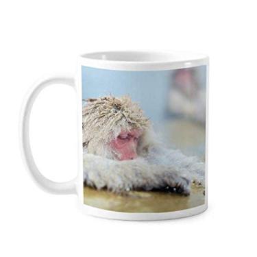 Imagem de Caneca de cerâmica para fotografia de animais Monkey Organism xícara de porcelana de café