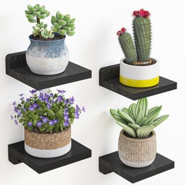 Imagem de Fixwal Prateleiras flutuantes pequenas, conjunto de 4 prateleiras de parede de 12 x 12 cm, pequenas prateleiras montadas na parede de madeira rústica para quarto, sala de estar, cozinha, decoração de