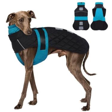 Imagem de MORVIGIVE Casaco para cães Whippet - azul lago, pequeno - casaco de inverno para cães pequenos com faixas ajustáveis, casaco de neve para cães para galgos, jaqueta resistente à água com orifício para