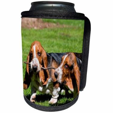 Imagem de 3dRose Envoltório para garrafa de refrigerador, 26,6 cm por 11,4 cm, Basset Hounds brincando com um palito, MR
