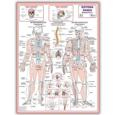 Imagem de Mapa Sistema Esquelético I Dobrado- Gigante 120 X 90cm - Enfermagem - 