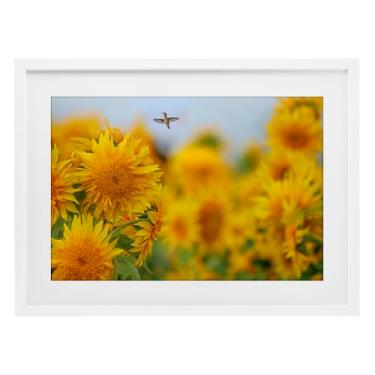 Imagem de Stupell Industries Impressão emoldurada branca Happy Beija-flor e girassóis design sob vidro por Carrie Ann Grippo-Pike, 43 x 58