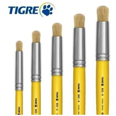 Imagem de Kit Com 5 Pinceis Redondo Pitua Tigre 803