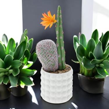 Imagem de Generic 1 peça de plantas artificiais simulação de cacto bonsai plástico verde 8,5 x 8,5 x 20 cm