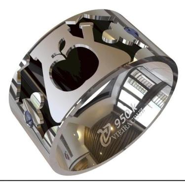 Imagem de Anel de Formatura De Técnico Em Alimentos Em Prata 950k - Vieira Cruz 