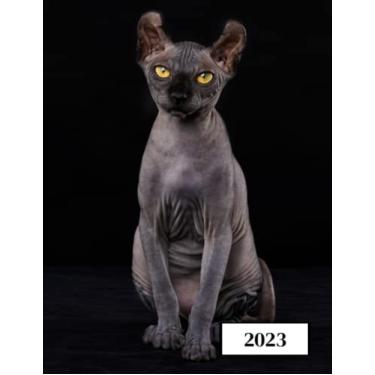 Imagem de 2023: Agenda semainier au format A4 - Année civile (Janvier à Décembre 2023) - Intervalles d'1h (7h-22h) - Contacts, jours fériés, mots de passe, ... - Une semaine sur deux pages