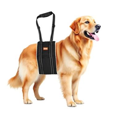 Imagem de Peitoral ajustável para cães, suporte grande para pernas traseiras, suporte para idosos lesionados, deficientes, recuperação de LCA | Suporte de perna traseira de cães para pernas traseiras, ajuda com