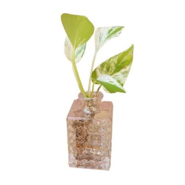 Imagem de Mini Jarro Decorativo de Vidro com Planta Jiboia Vaso Geométrico Transparente Folhas Variegadas