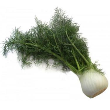 Imagem de Funcho Doce/Erva Doce -500mg de Sementes - ISLA Sementes