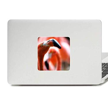 Imagem de Organismo terrestre flamingo animal selvagem decalque vinil paster laptop decoração PC