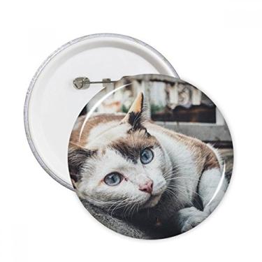Imagem de Imagem de fotografia de gato colorida de animal, alfinetes, emblema, botão, decoração de roupas, 5 peças, presente