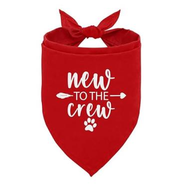 Imagem de Nova bandana de cachorro The Crew, bandana para filhotes, novo filhote, bandanas para filhotes, presentes para novos donos de filhotes, nova lista de compras de filhotes, bandana para cães pequenos e