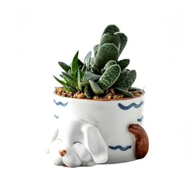 Imagem de SUSOYAOCHEN Lindo vaso de flores de cerâmica com desenho animado, cacto de aloe, suculenta, mini bonsai para uso interno e externo para decoração de jardim, plantas não incluídas (cão)